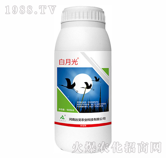 10%啶蟲脒-白月光-遠見農業(yè)