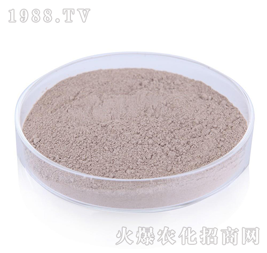 復合芽孢桿菌-綠隴生物