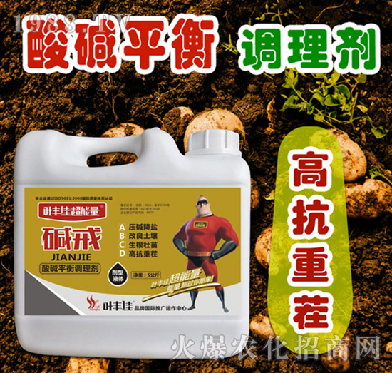 酸堿平衡調理劑-堿戒-葉豐佳超能量