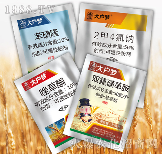 大戶夢(mèng)4組合-尚禾沃達(dá)