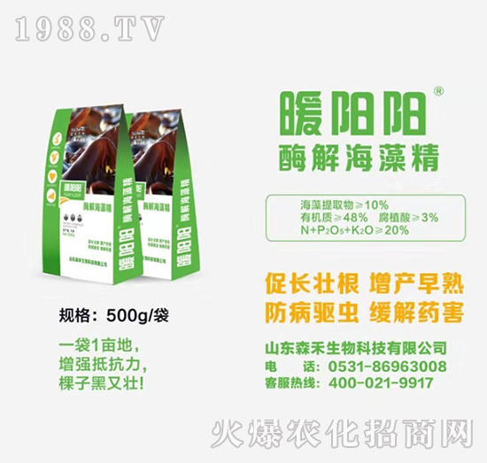 酶解海藻晶-暖陽陽-森禾生物