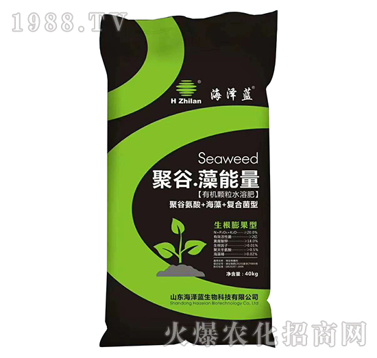 生根膨果型聚谷·藻能量-海澤藍