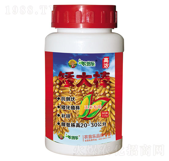 矮大棒-農(nóng)翁樂(lè)