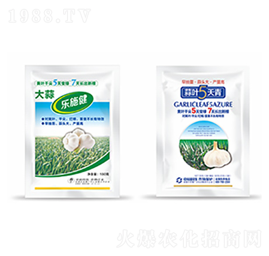 大蒜樂施健+蒜葉5天青-中?？萍? style=