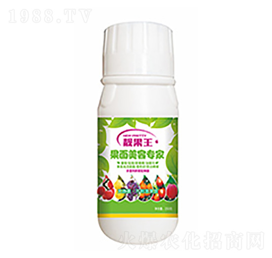 靚果王-中?？萍? style=
