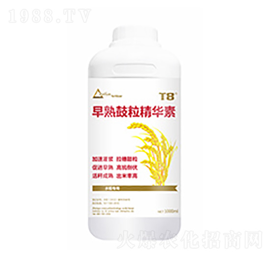 早熟鼓粒精華素-中?？萍? style=
