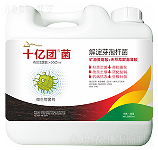 解淀芽孢桿菌-十億團(tuán)菌-中?？萍? style=