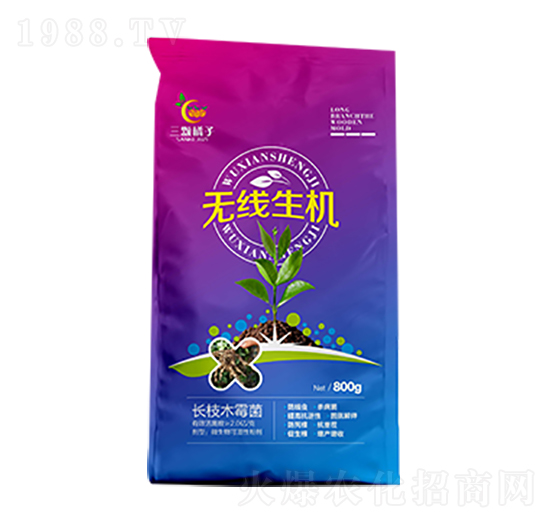 無(wú)線生機(jī)-三顆橘子