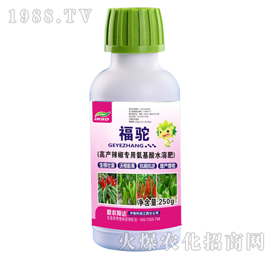 高產(chǎn)辣椒專用氨基酸水溶肥-福駝-愛農(nóng)斯達