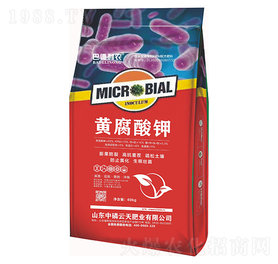 黃腐酸鉀-巴德利農-中磷云天