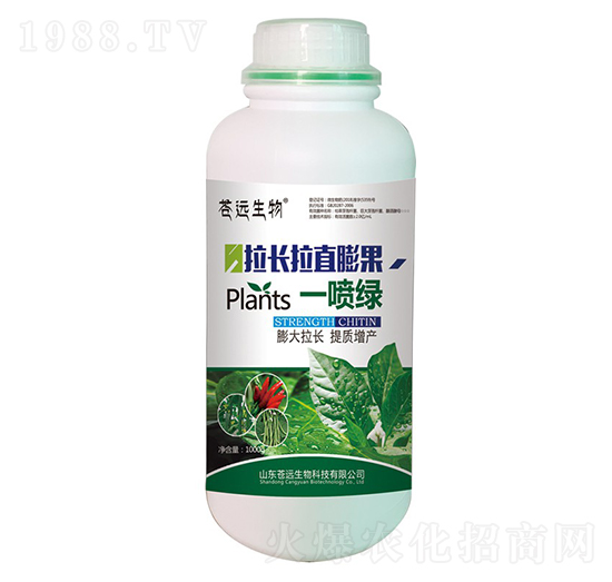 拉長(zhǎng)拉直膨果一噴綠-蒼遠(yuǎn)生物