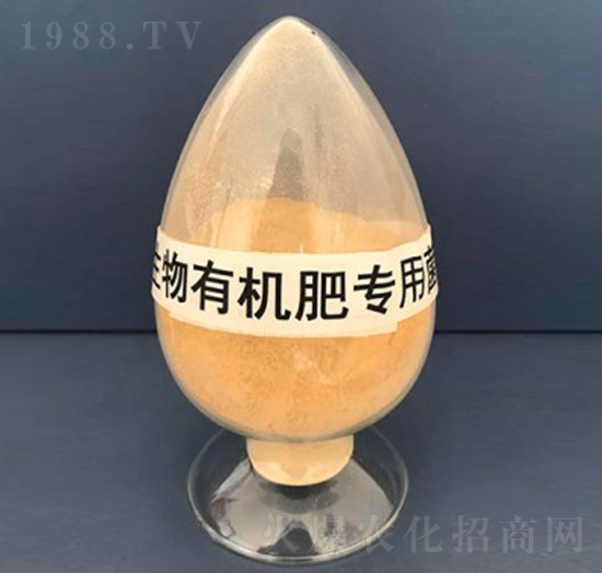 生物有機肥專用菌（粉劑）-亮澤生物