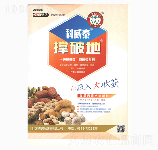 撐破地-科威泰