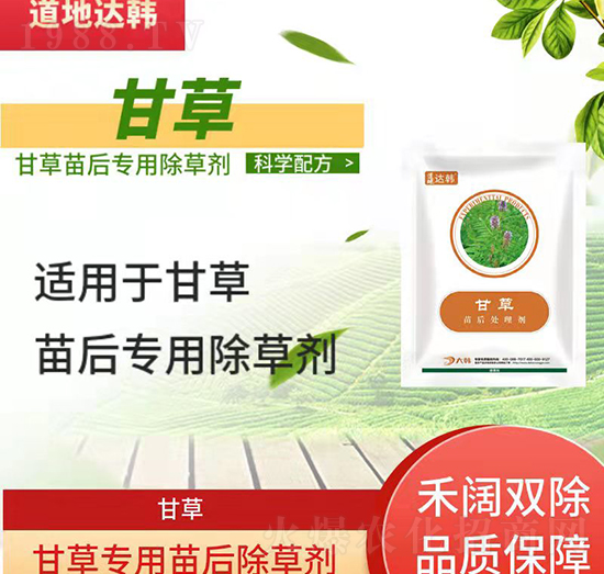 甘草田除草劑-甘草田苗后-甘草田專(zhuān)用-大韓