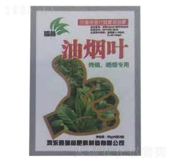 油煙葉-瑞苗