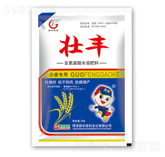 小麥專用含氨基酸水溶肥料-壯豐-國(guó)豐高科