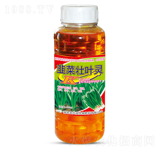 韭菜壯葉靈-圣氏潤