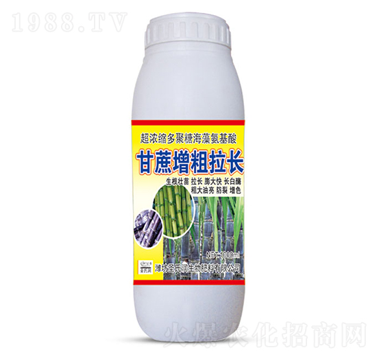甘蔗增粗拉長-圣氏潤