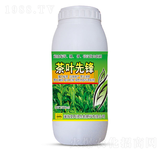 茶葉先鋒-圣氏潤