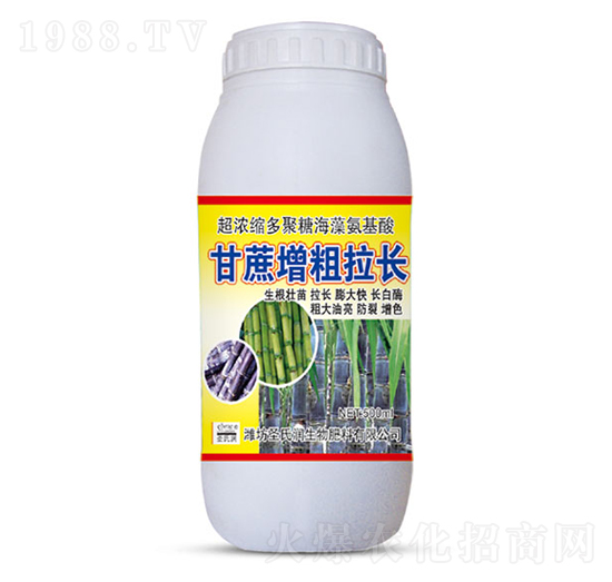 500ml甘蔗增粗拉長(zhǎng)-圣氏潤