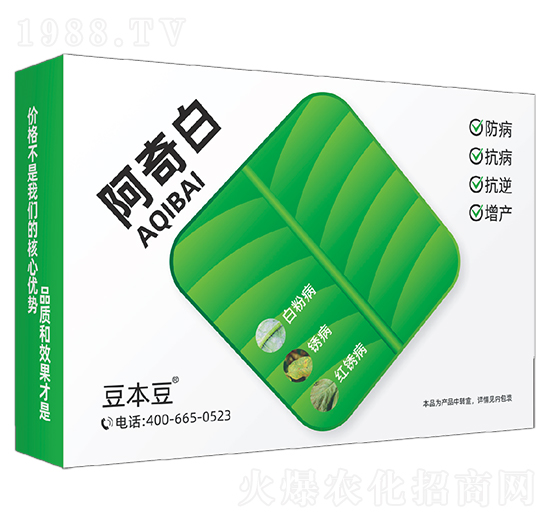 阿奇白-豆本豆