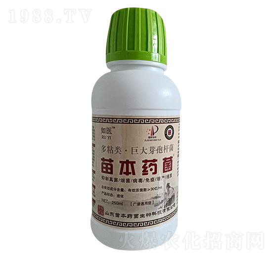 如醫(yī)多粘類·巨大芽孢桿菌-苗本藥菌