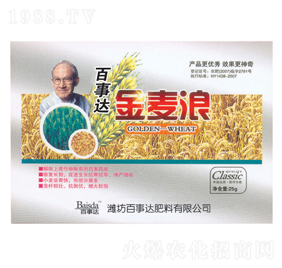 今麥浪-百事達