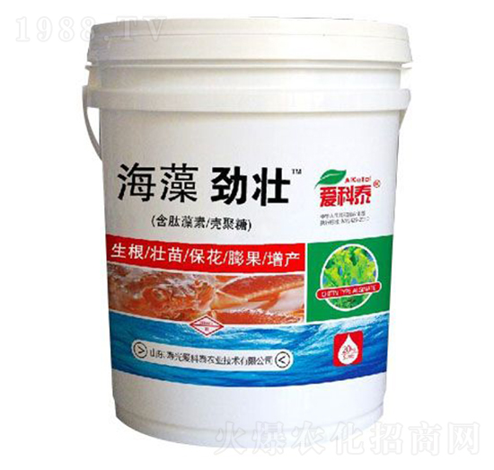 海藻勁壯-愛(ài)科泰