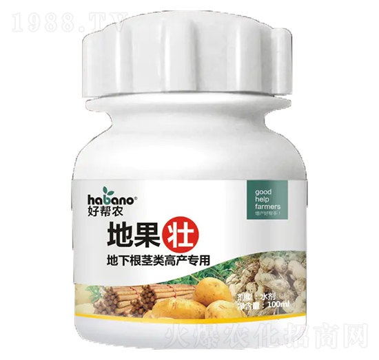 地下根莖類高產專用-地果壯-好幫農