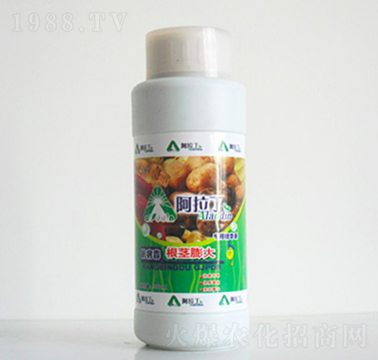 250ml根莖膨大專(zhuān)用精華素-阿拉丁