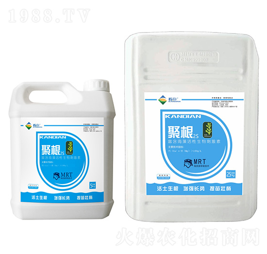 富含海藻活性生物刺激素-聚根2S-看點