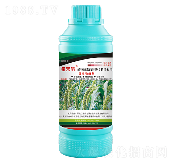 谷子專用植物酵素營(yíng)養(yǎng)液-金禾苗-田之源