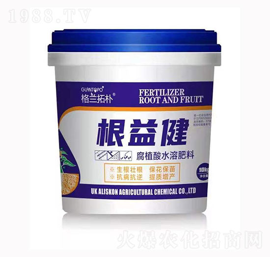 根益健-格蘭拓樸-戈藍