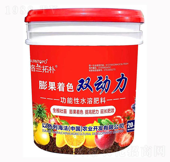膨果著色雙動力-格蘭拓樸-戈藍