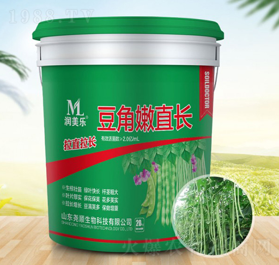 豆角嫩直長-潤美樂-堯順生物
