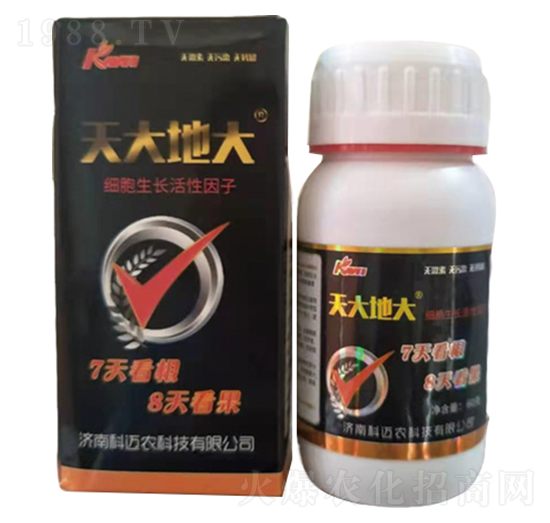 天大地大-科邁農