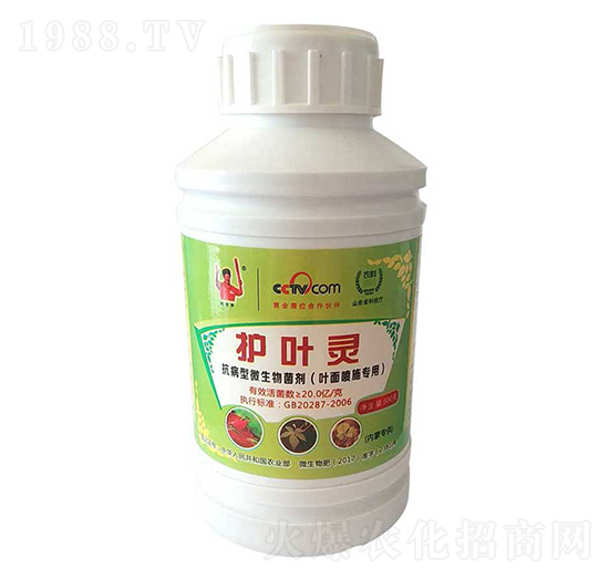 抗病型微生物菌劑-護(hù)葉靈-金滿(mǎn)田