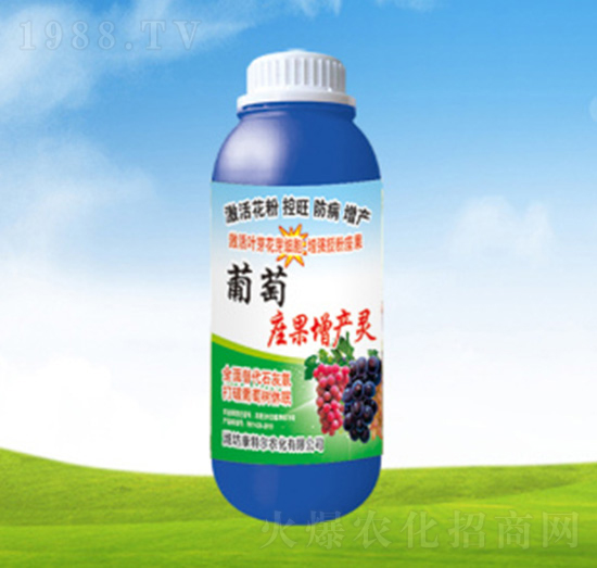 葡萄座果增產(chǎn)靈-康特爾農(nóng)化