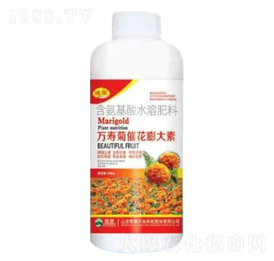 1000g含氨基酸水溶肥料-萬(wàn)壽菊催花膨大素-榮耀農(nóng)業(yè)