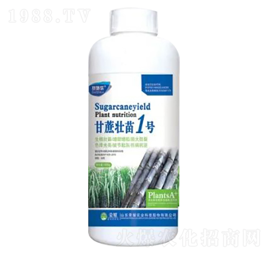 1000g甘蔗壯苗1號-榮耀農(nóng)業(yè)