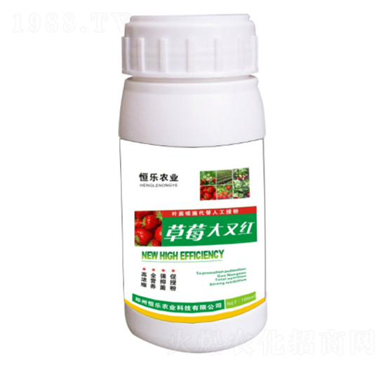 草莓大又紅-恒樂農(nóng)業(yè)