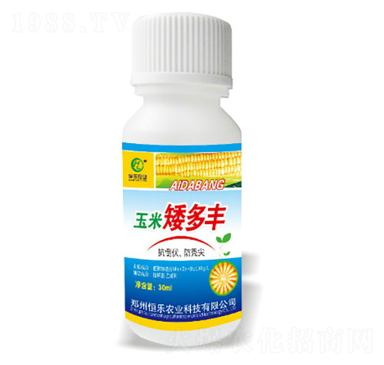 玉米矮多豐-恒樂農(nóng)業(yè)