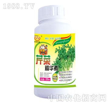 潤田-芹菜精華素