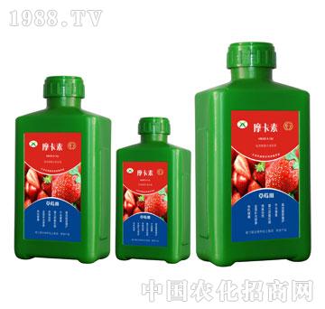 ݮðҺķ-Ħ-(qing)оH