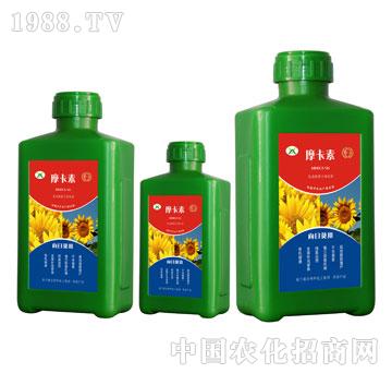 տðҺķ-Ħ-(qing)оH