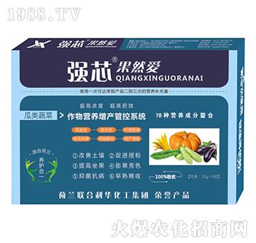 瓜類蔬菜專用強(qiáng)芯果然愛葉面肥-強(qiáng)芯國際