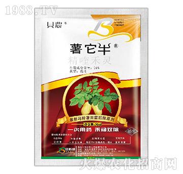 最新馬鈴薯田苗后出采集-薯它牛-貝斯特