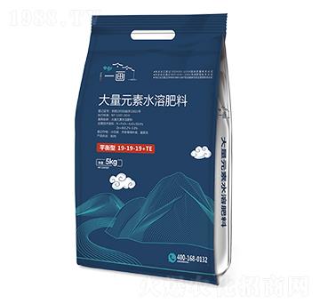平衡型大量元素水溶肥料19-19-19+TE-一畫農(nóng)業(yè)