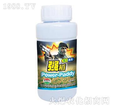 強稻-嘉吉