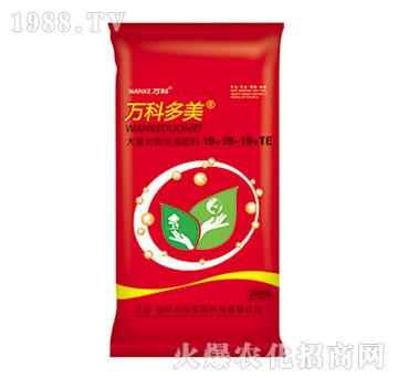 平衡配方大量元素水溶肥料19-19-19+TE-多美多-萬(wàn)科
